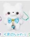 bear blue