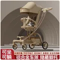 Auminum alloy frame