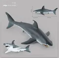 118 blue shark