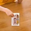 Animals Matching