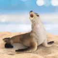 Sea Lion