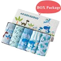 Dinosaur 5-BOX