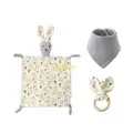 gray bunny
