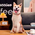 Shiba Inu