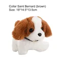 Saint Bernard