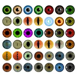 Ojos de cristal para muñecas y manualidades 8mm