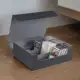 Black Lined In Gray