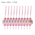 10pcs straws
