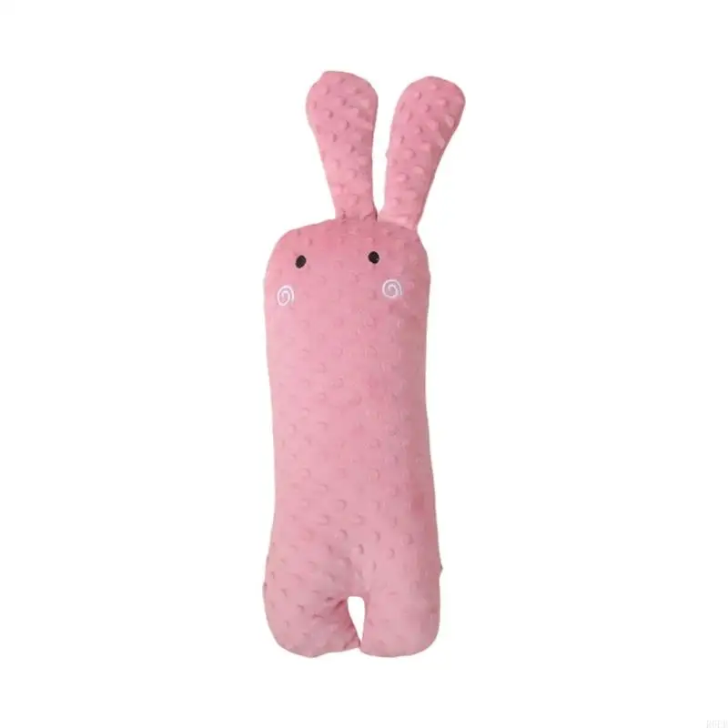 Sister Rabbit
