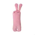 Sister Rabbit