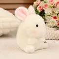 rabbit-1