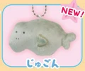 Dugong