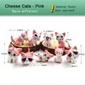 9pcs Cheese Pink