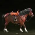 Castaño