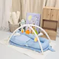 Blue pillow frame