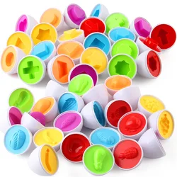 Huevos educativos Montessori para niños – Juguete cognitivo