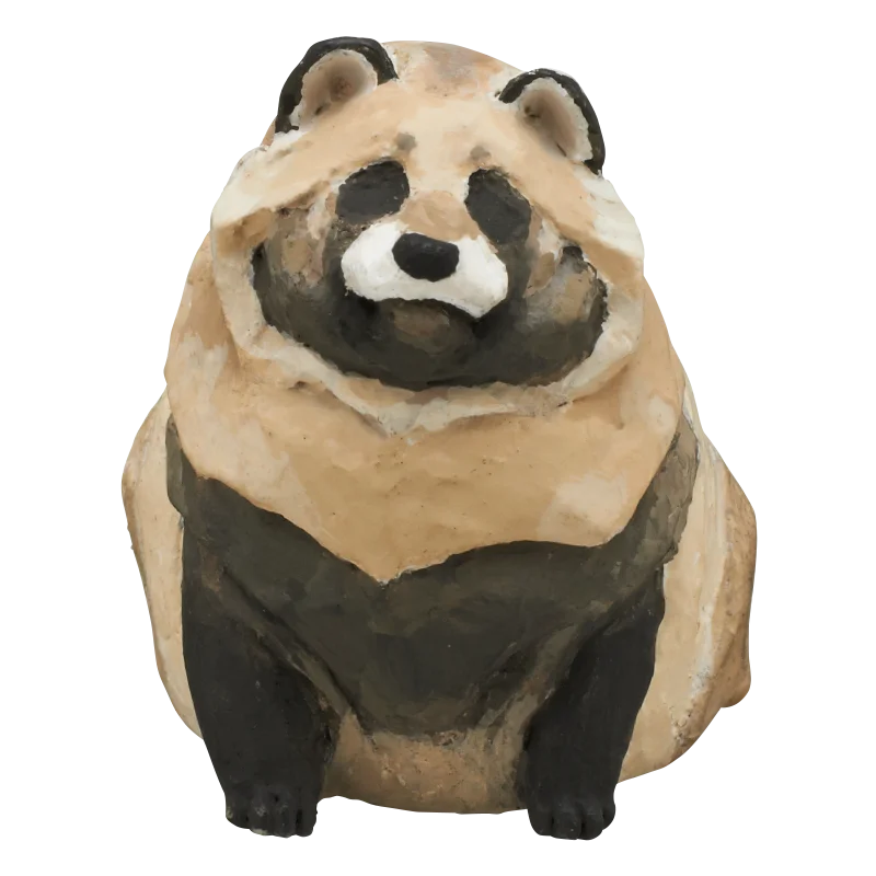 Raccoon dog white