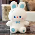 A 25CM