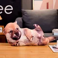 baby dog