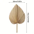 1pc