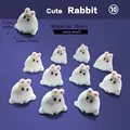 10pcs Fat Rabbit-B