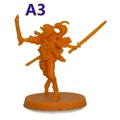 A3