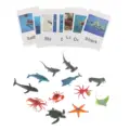 marine animals