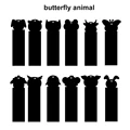 Butterfly animal