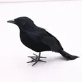 Crow A
