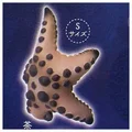 Brown S size