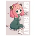 SPY FAMILY 23