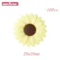 10pcs Cream
