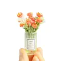 orange-jasmine