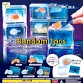 Random 1Pcs