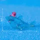 10pcs Blue Shark