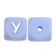 100pcs Y