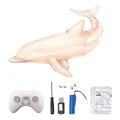 Dolphins