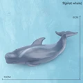 9pilot whale
