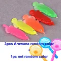 1set Arowana(3pcs)