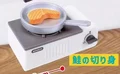 stove Salmon fillet