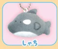 killer whale