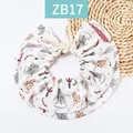 ZB17
