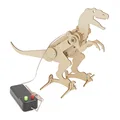 tyrannosaur