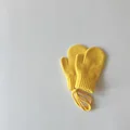 YL
