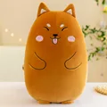 match dog 20CM