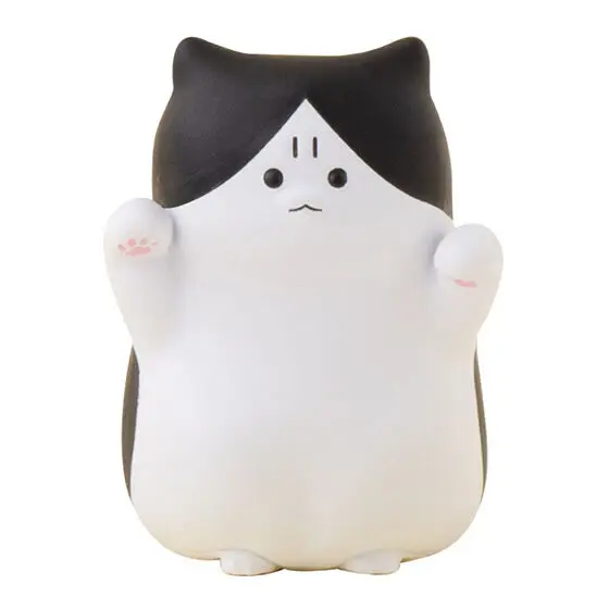 black white cat
