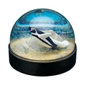 Humboldt penguin
