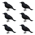 6PCS Crow A