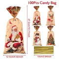 100pcs