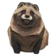 raccoon dog